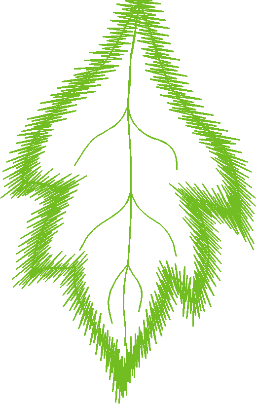 Floral Elements 1  (33)