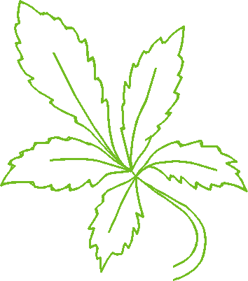 Floral Elements 1  (34)