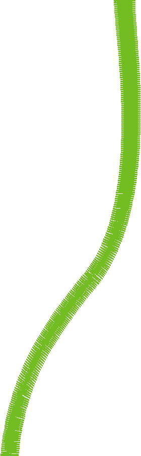 Floral Elements 1  (39)