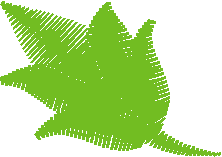 Floral Elements 1  (4)