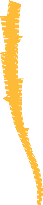 Floral Elements 1  (41)