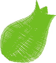 Floral Elements 1  (6)