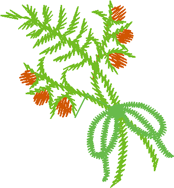 Floral Illusions 1  (18)