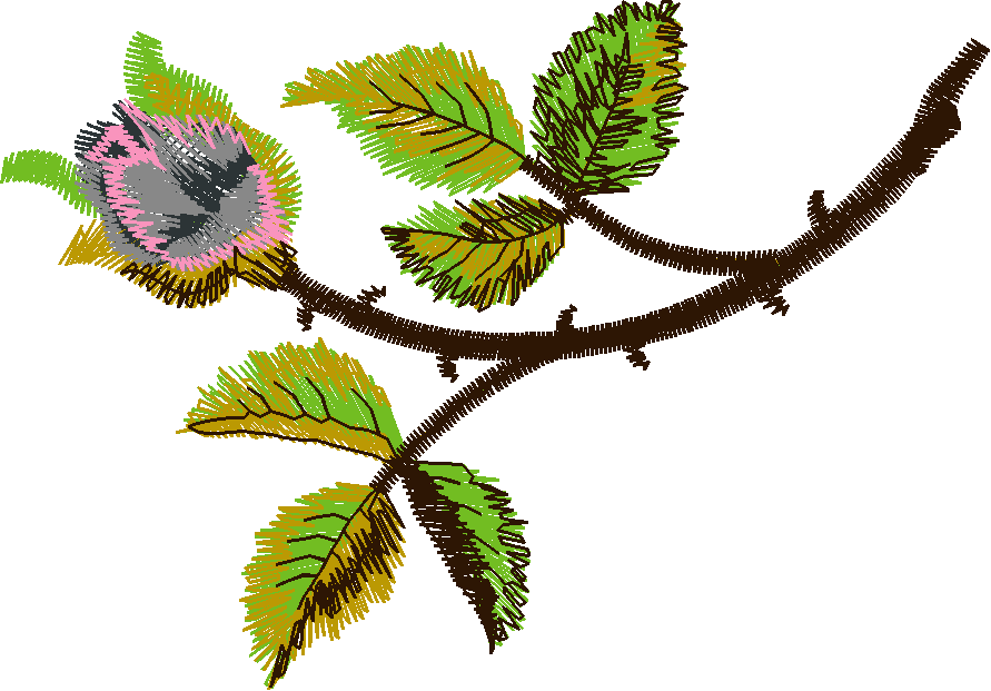 Floral Illusions 1  (24)