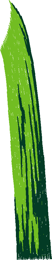 Floral Large 2  (15)