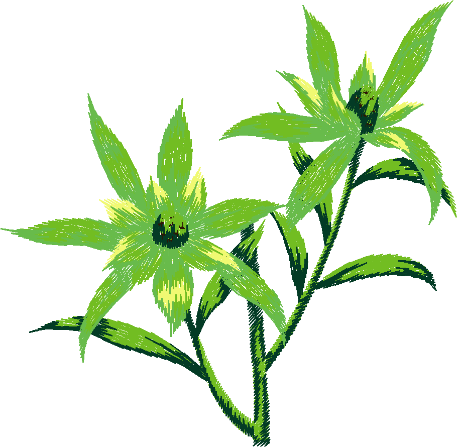 Floral Large 2  (27)