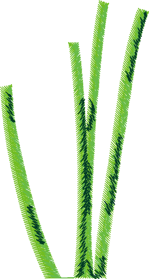 Floral Large 2  (36)