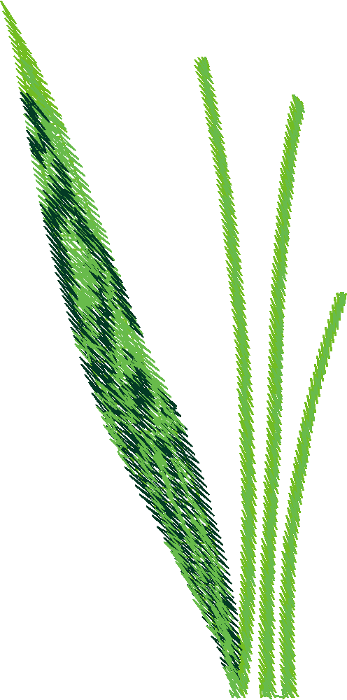 Floral Large 2  (39)