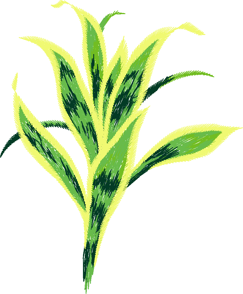 Floral Large 2  (40)