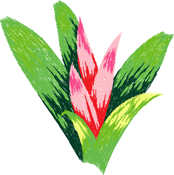 Floral Large 2  (47)