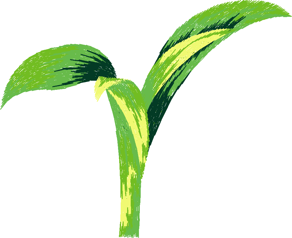 Floral Large 2  (48)