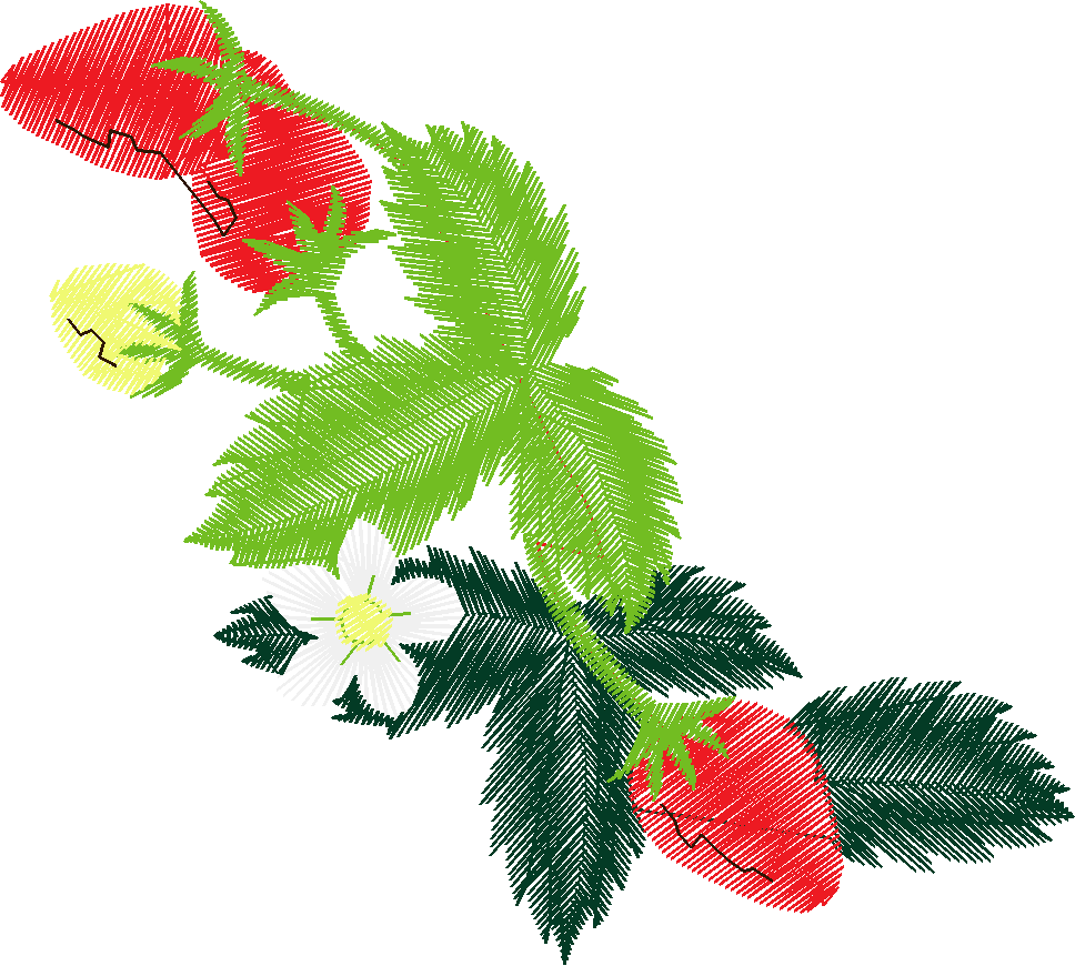 Floral Large 3  (12)