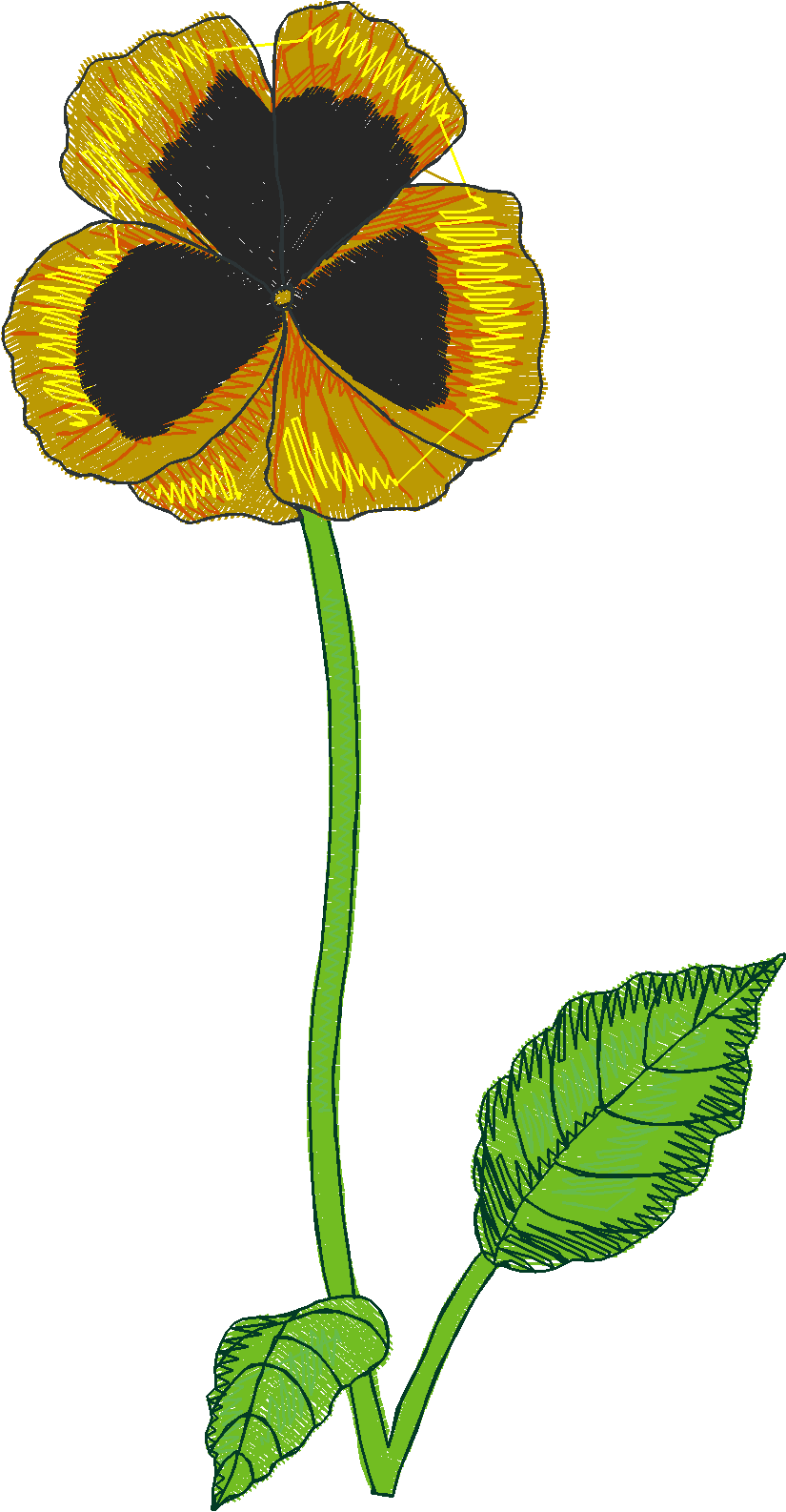 Floral Pansies 1  (7)