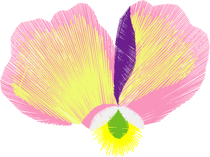 Floral Pansies 2  (10)