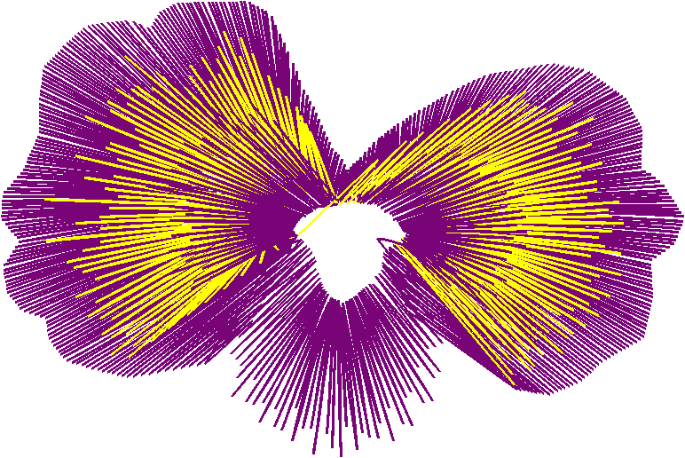 Floral Pansies 2  (7)