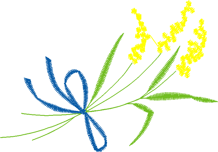 Floral & Frames 1 (5)