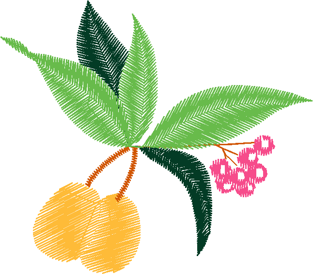 Floral & Frames 1 (7)