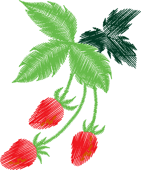 Floral & Frames 1 (8)