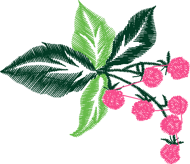 Floral & Frames 1 (9)