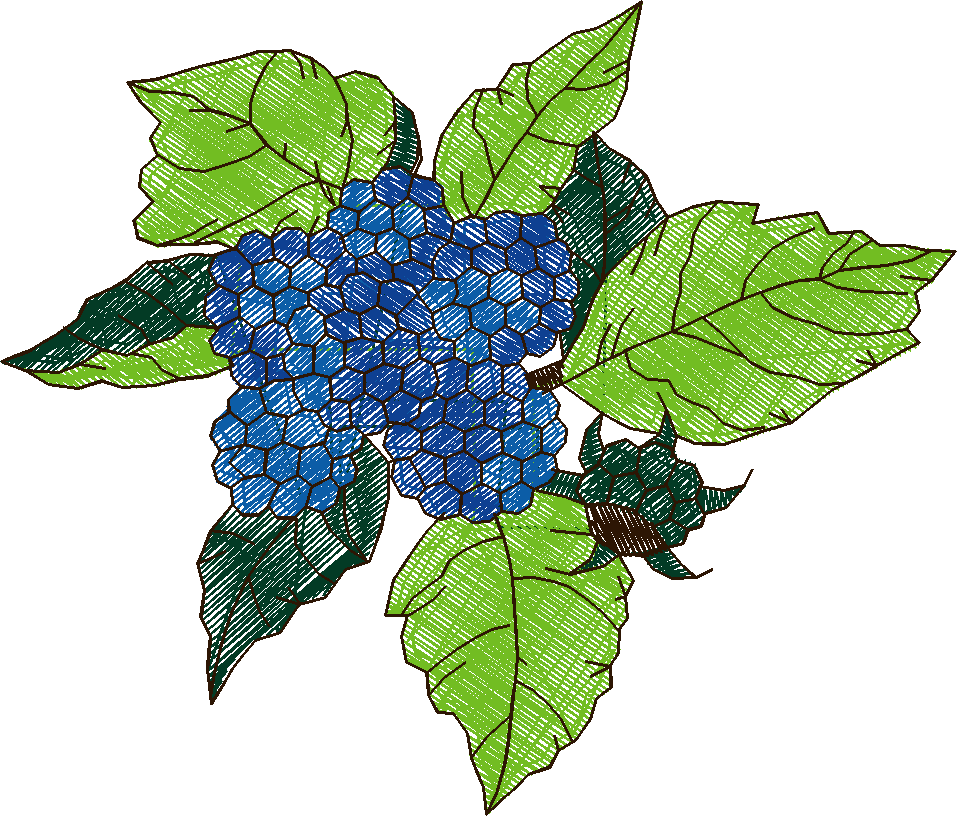 Floral & Fruits 1 (10)