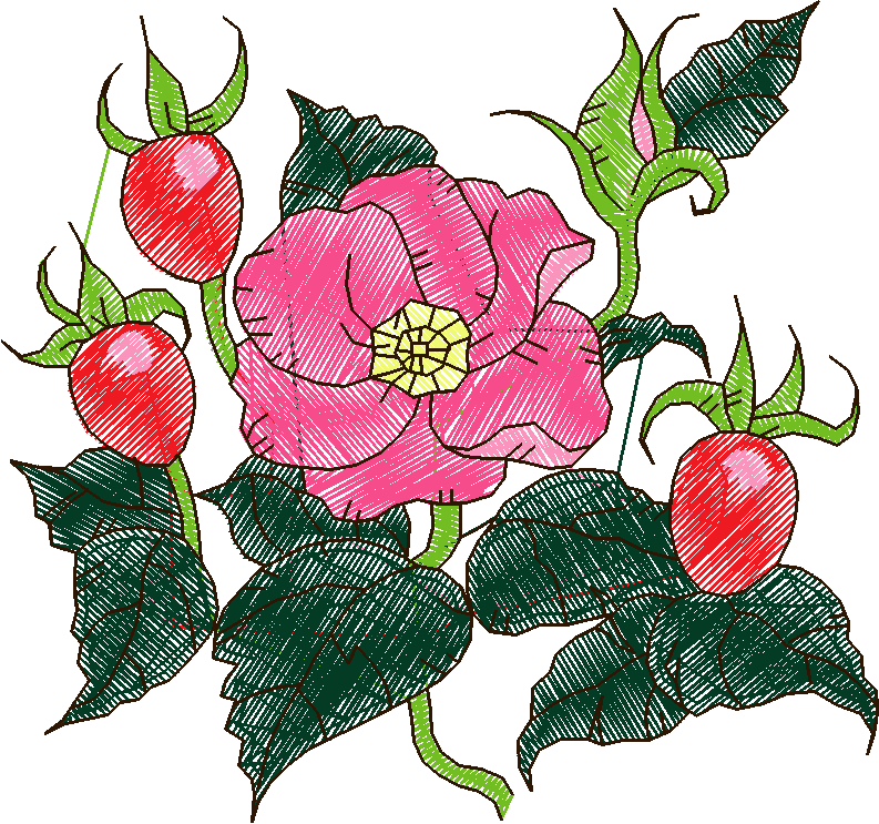 Floral & Fruits 1 (11)