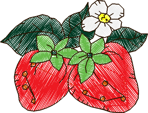 Floral & Fruits 1 (19)