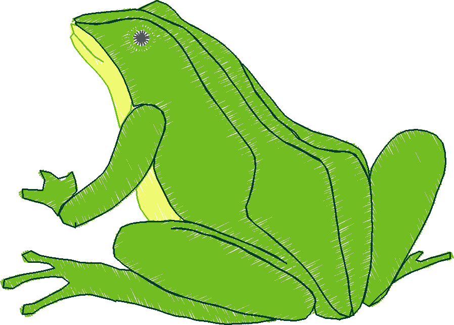 Animal_frog02