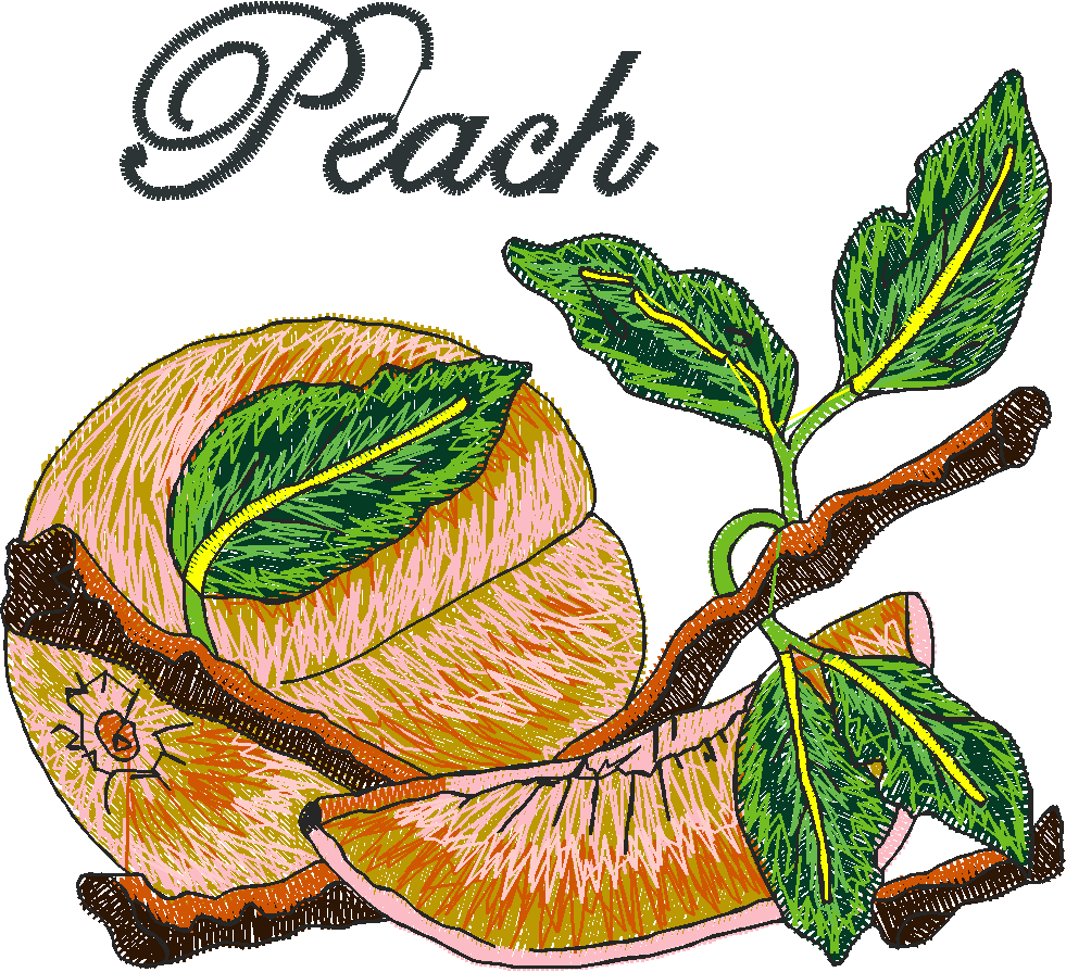 Fruit & Birds 1  (11)