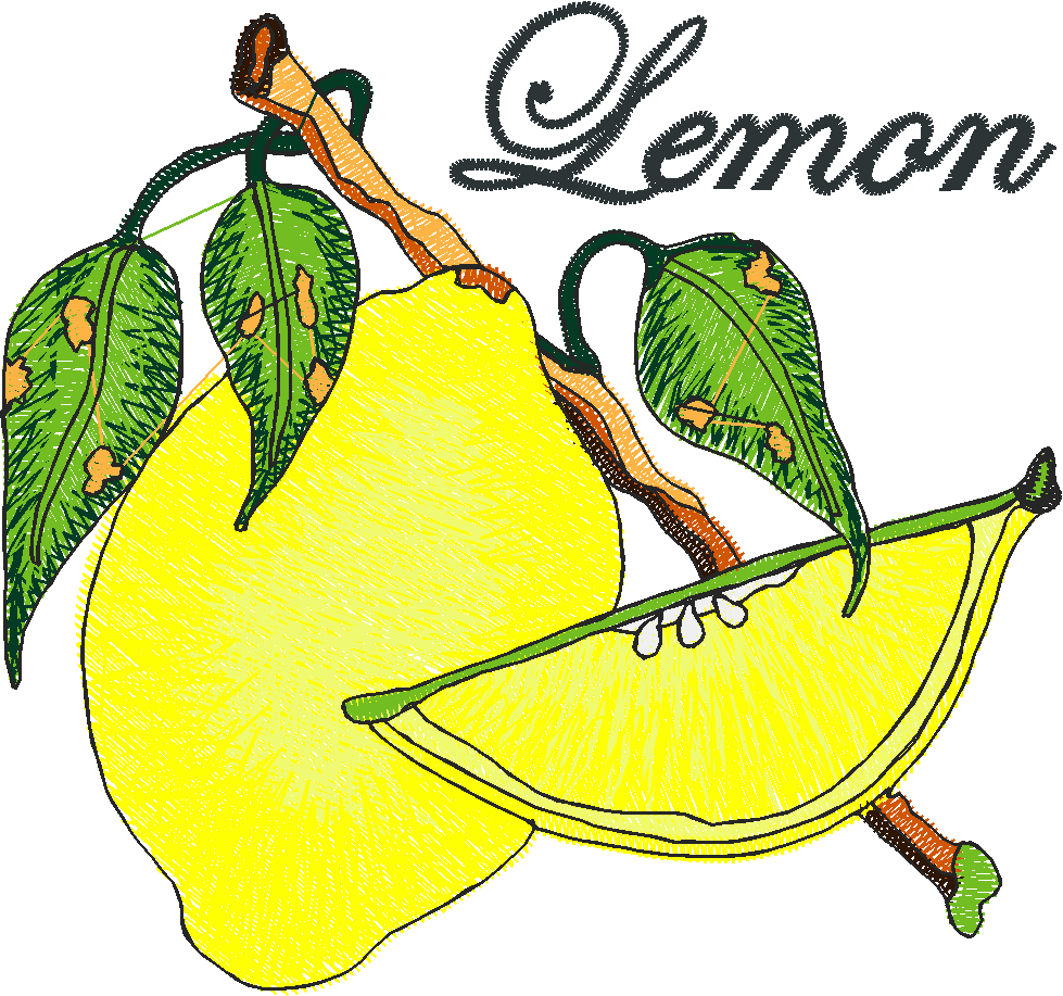 Fruit & Birds 1  (16)