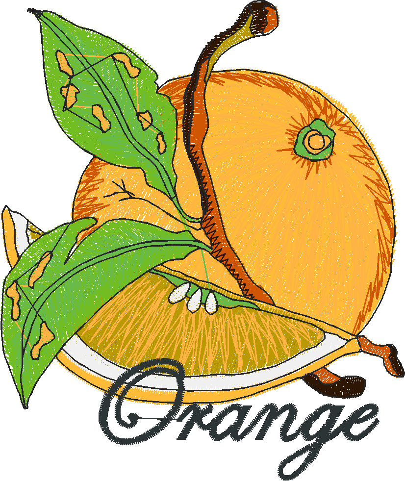 Fruit & Birds 1  (17)