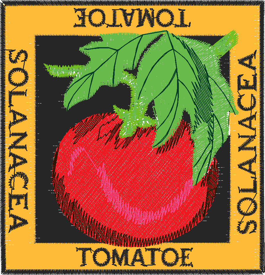 Fruit & Veg Squares 1 (2)