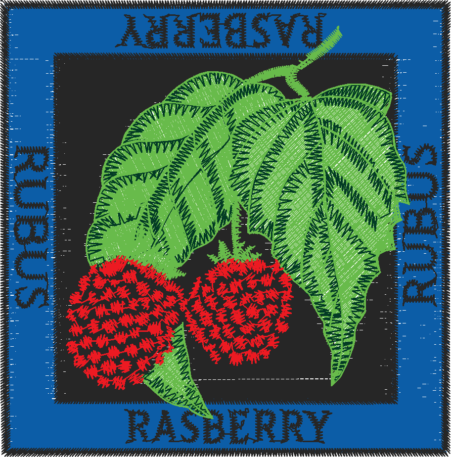 Fruit & Veg Squares 1 (8)