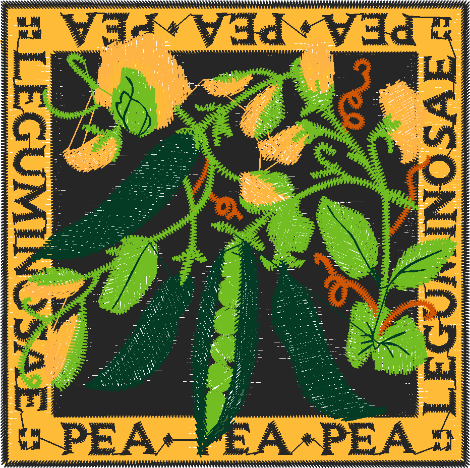 Fruit & Vegetables 1  (12)