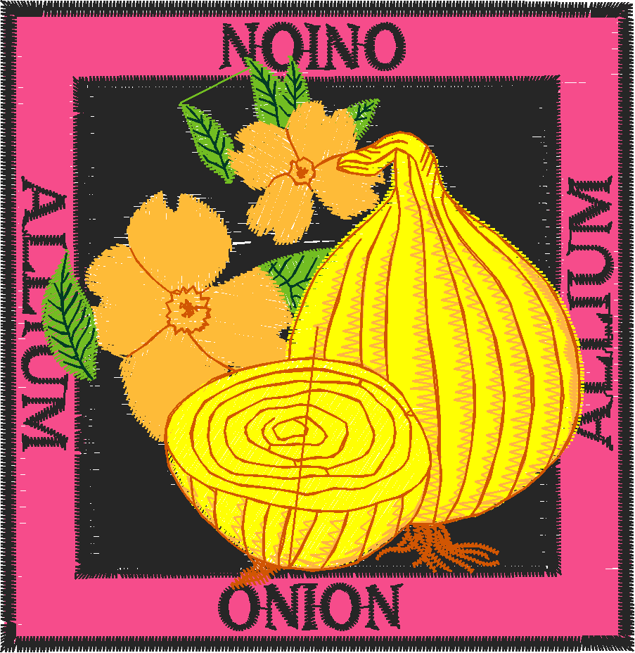 Fruit & Vegetables 1  (13)