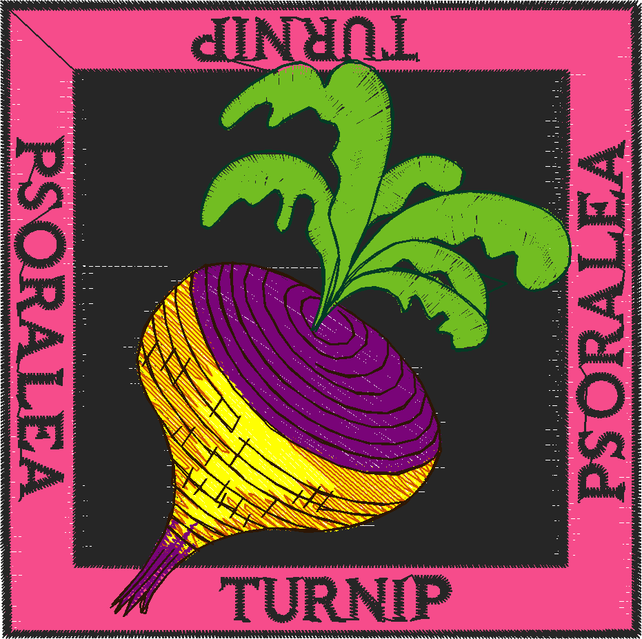 Fruit & Vegetables 1  (15)