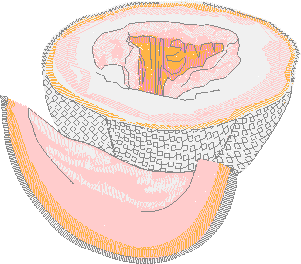 Fruit & Vegetables 10  (11)