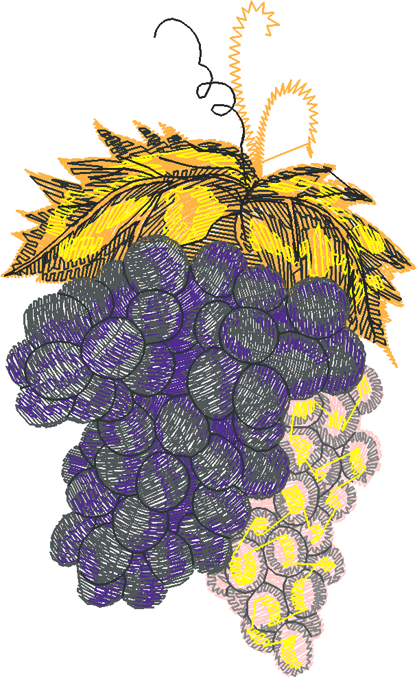 Fruit & Vegetables 10  (12)