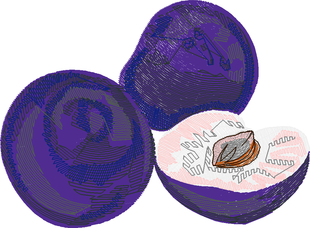 Fruit & Vegetables 10  (7)