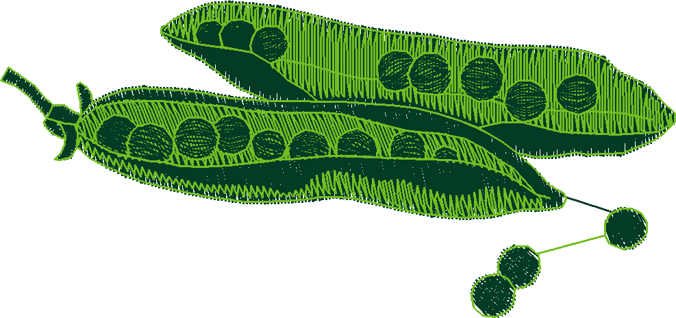 Fruit & Vegetables 11  (1)