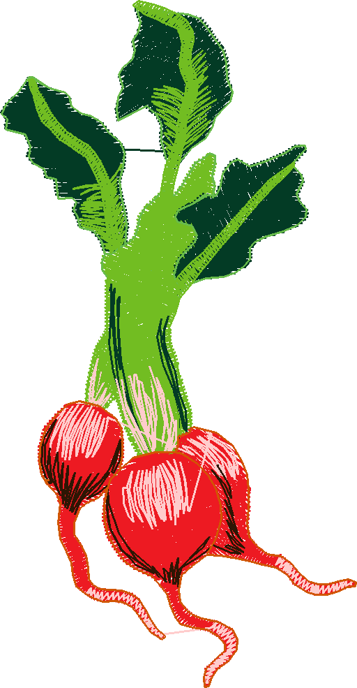 Fruit & Vegetables 11  (10)