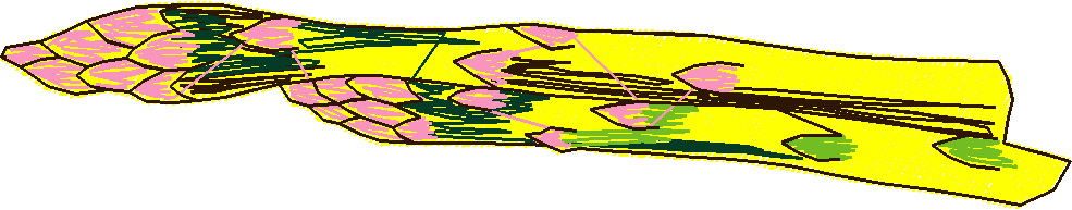 Fruit & Vegetables 11  (12)