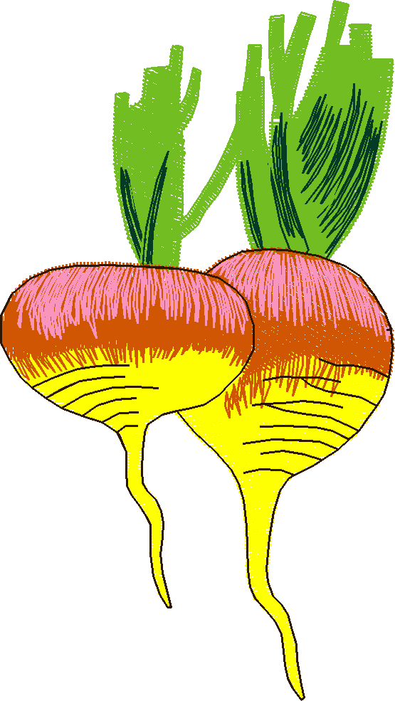 Fruit & Vegetables 11  (13)