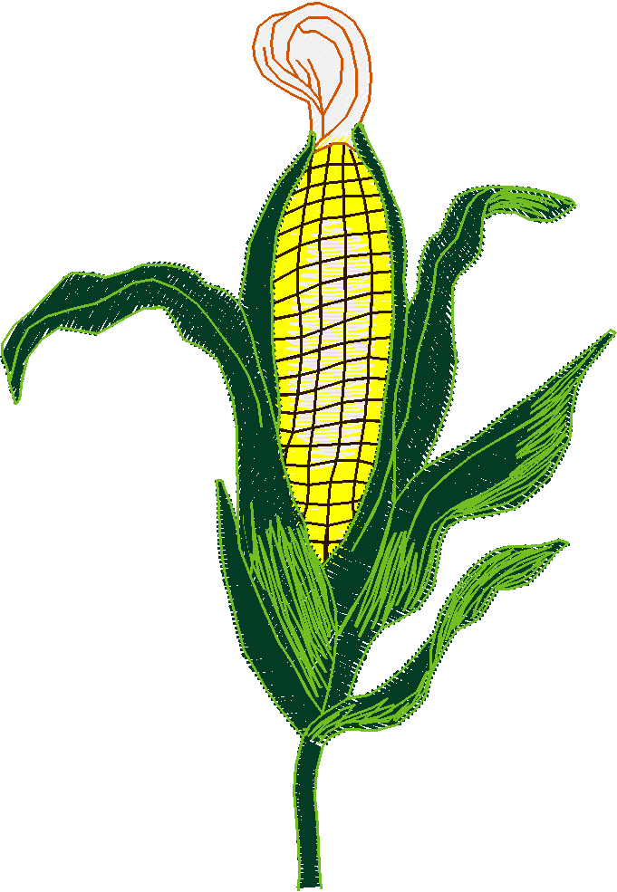 Fruit & Vegetables 11  (15)