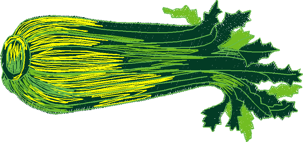 Fruit & Vegetables 11  (16)