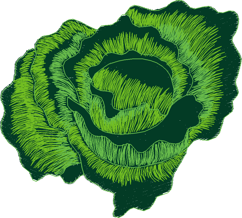 Fruit & Vegetables 11  (17)