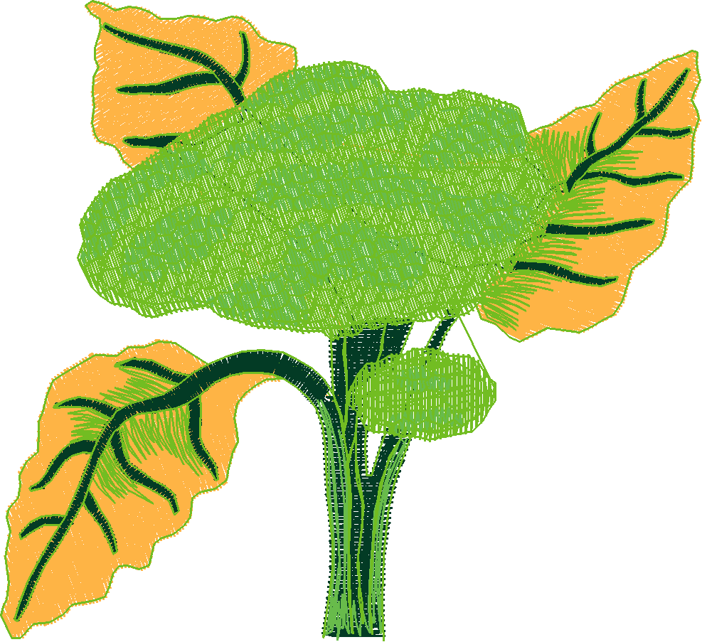 Fruit & Vegetables 11  (20)