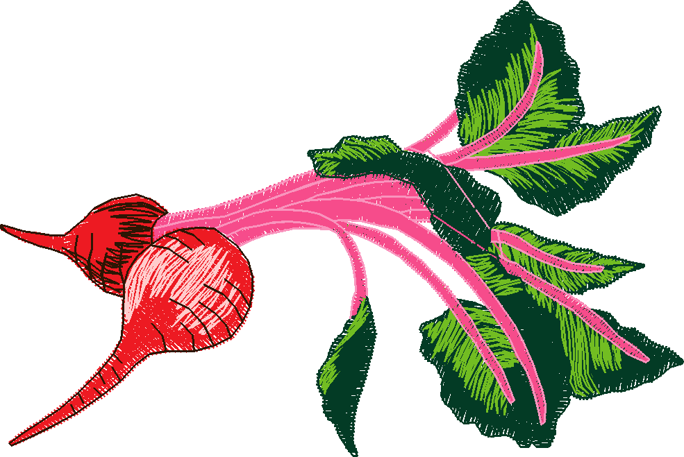 Fruit & Vegetables 11  (3)