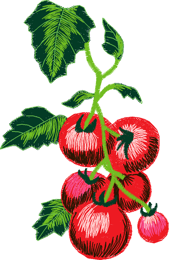 Fruit & Vegetables 11  (6)