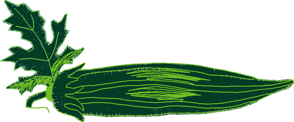 Fruit & Vegetables 11  (7)