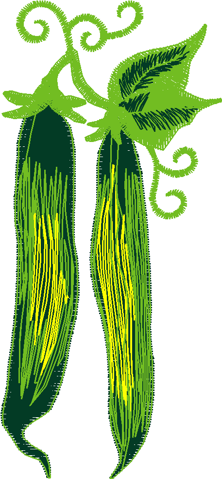 Fruit & Vegetables 11  (9)